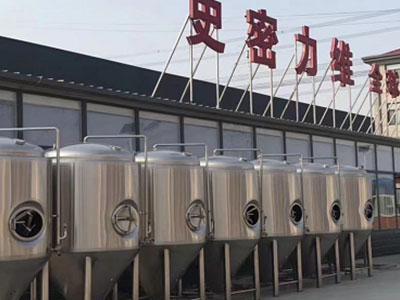 轵城镇精酿啤酒设备厂—如何判断精酿啤酒设备的密封件需要更换?